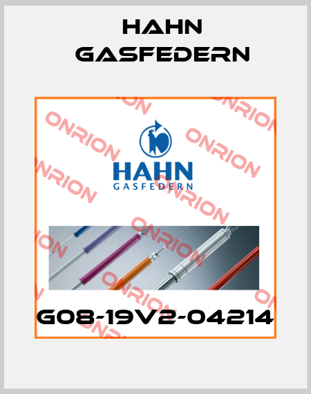 G08-19V2-04214 Hahn Gasfedern
