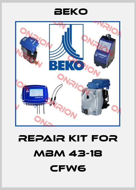 repair kit for MBM 43-18 CFW6 Beko