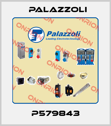 P579843 Palazzoli