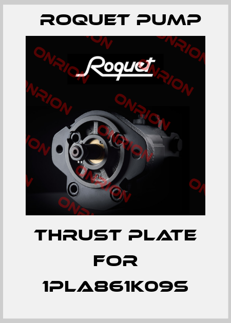 Thrust Plate for 1PLA861K09S Roquet pump