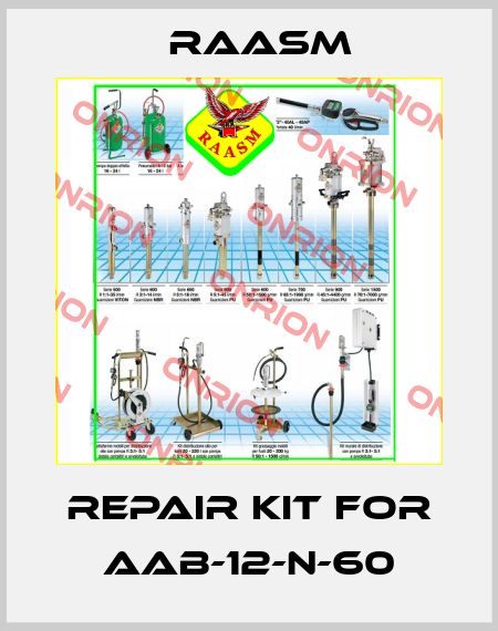 repair kit for AAB-12-N-60 Raasm