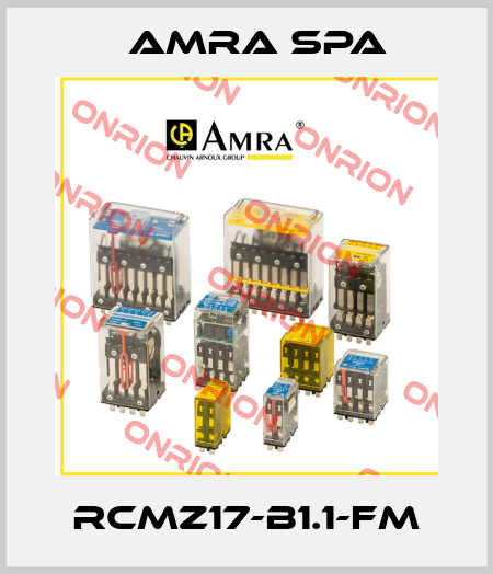 RCMZ17-B1.1-FM Amra SpA