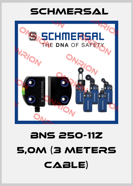 BNS 250-11Z 5,0M (3 meters cable) Schmersal