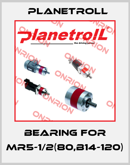 bearing for MR5-1/2(80,B14-120) Planetroll