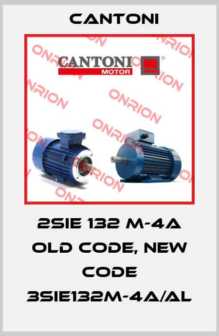 2SIE 132 M-4A old code, new code 3SIE132M-4A/AL Cantoni