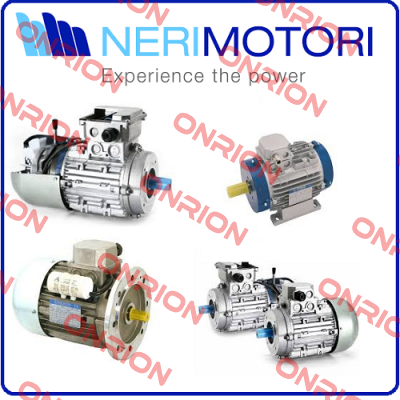 ID80590006MS / Rotor + bearing for  Neri Motor ME80C2 Neri Motori