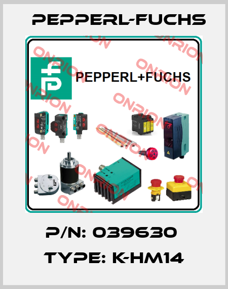 p/n: 039630  Type: K-HM14 Pepperl-Fuchs