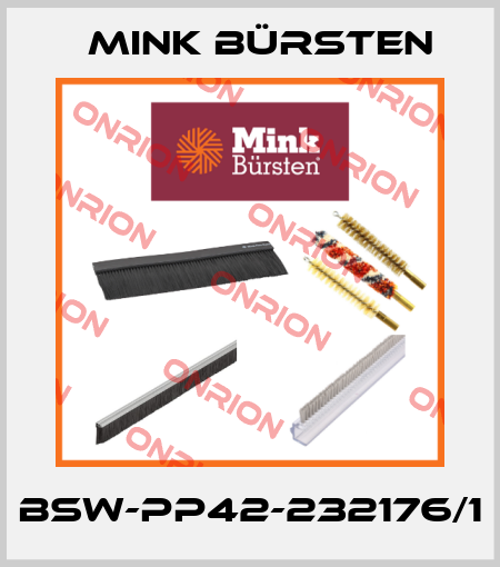 BSW-PP42-232176/1 Mink Bürsten