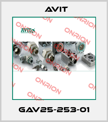 GAV25-253-01 Avit