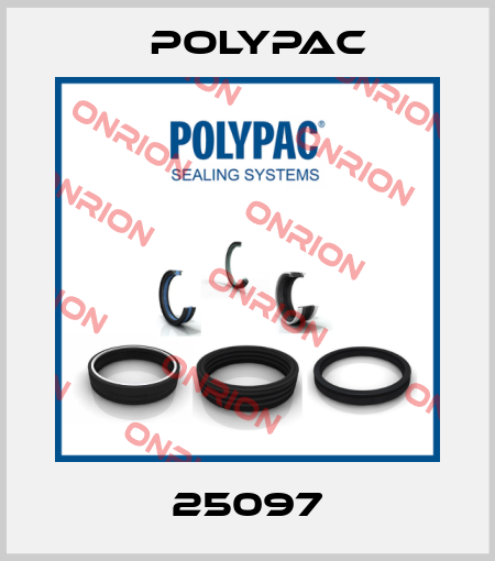 25097 Polypac