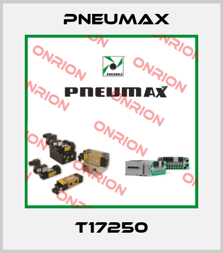 T17250 Pneumax