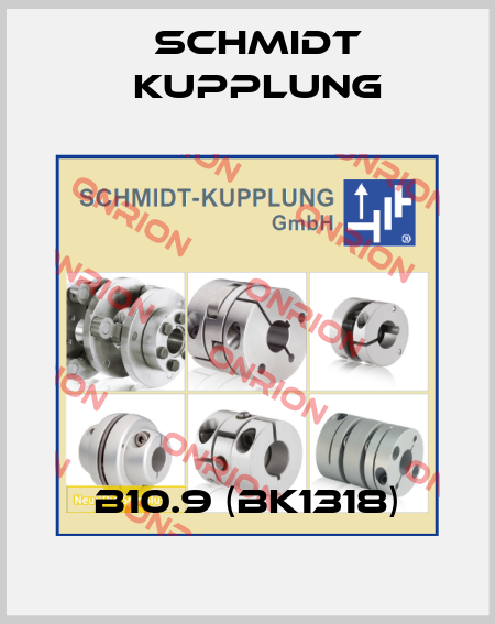 B10.9 (BK1318) Schmidt Kupplung