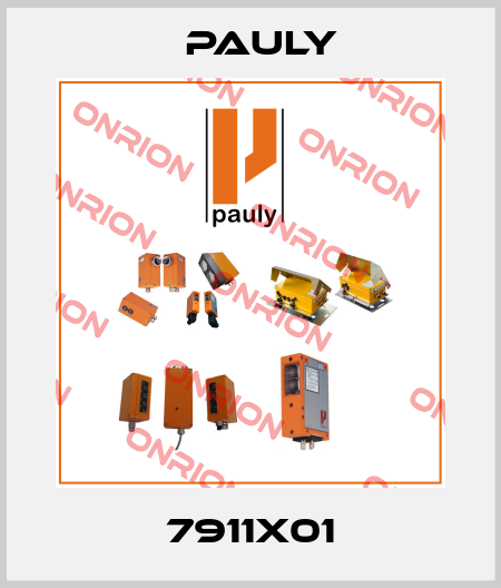 7911X01 Pauly