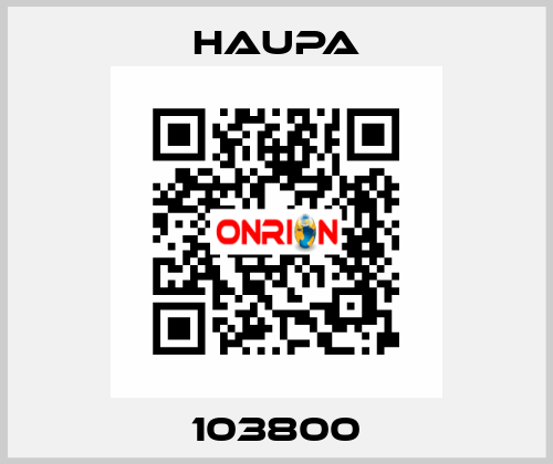 103800 Haupa