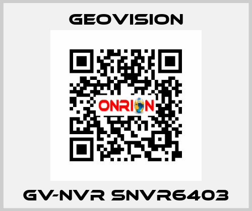 GV-NVR SNVR6403 GeoVision