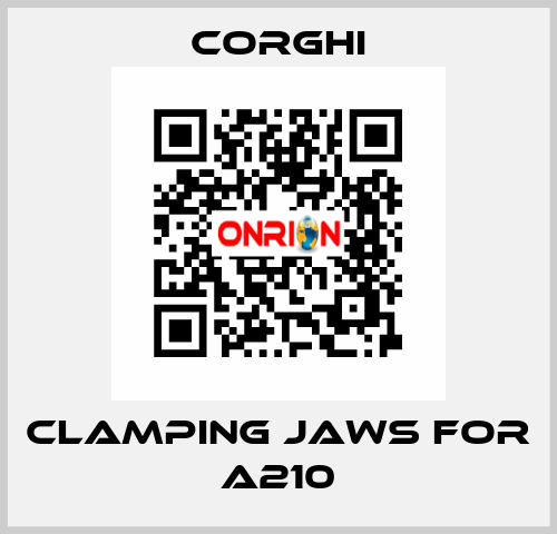 clamping jaws for A210 Corghi