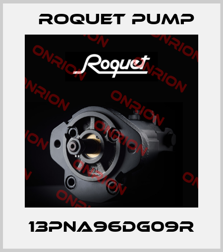 13PNA96DG09R Roquet pump