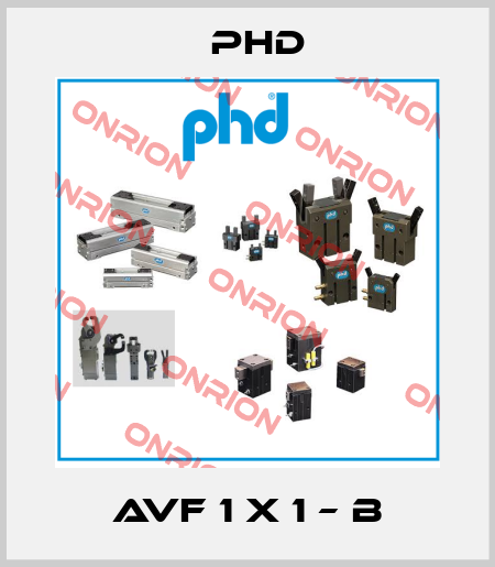 AVF 1 X 1 – B Phd