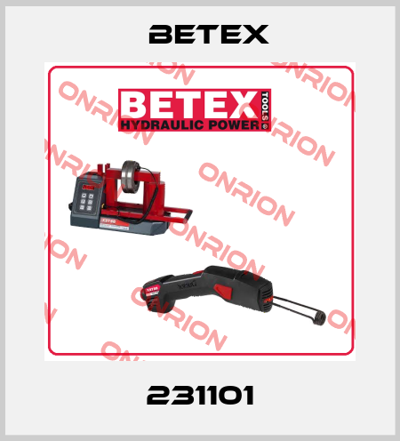 231101 BETEX