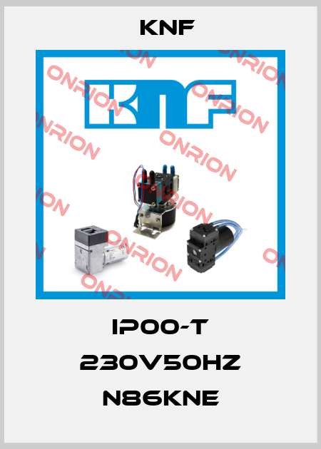 IP00-T 230V50HZ N86KNE KNF