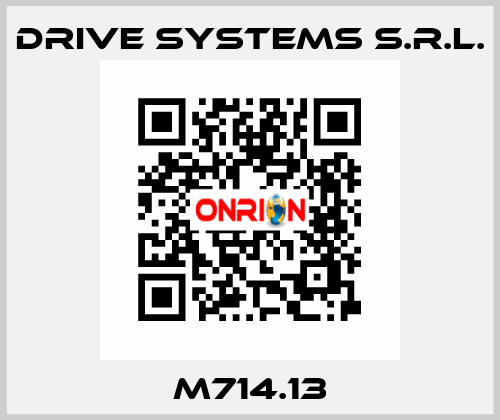 M714.13 DRIVE SYSTEMS s.r.l.