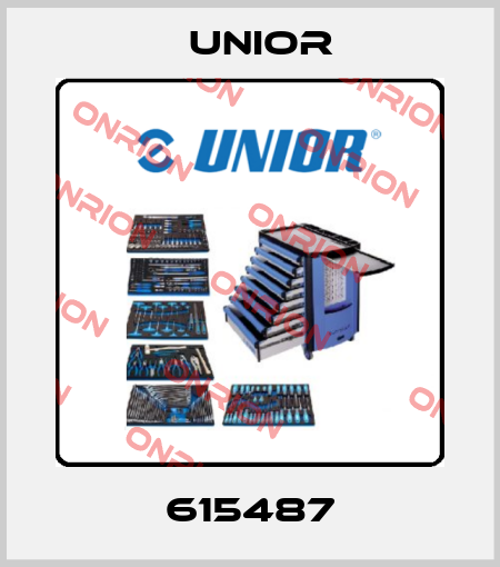 615487 Unior