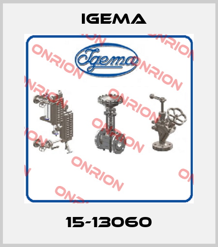 15-13060 Igema