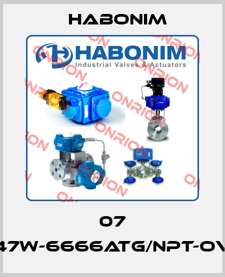 07 F47W-6666ATG/NPT-OVL Habonim
