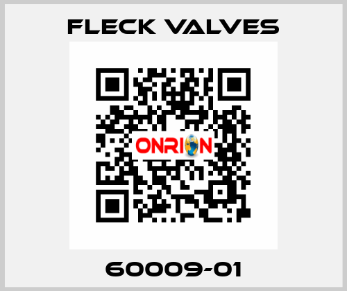 60009-01 Fleck Valves