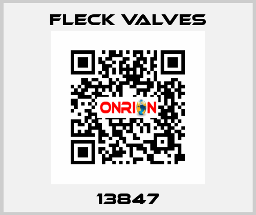 13847 Fleck Valves