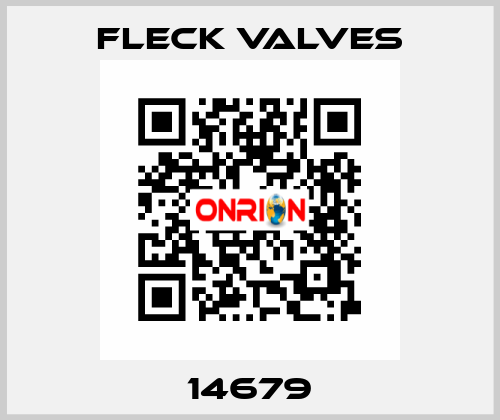 14679 Fleck Valves