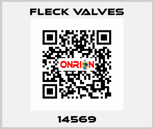 14569 Fleck Valves