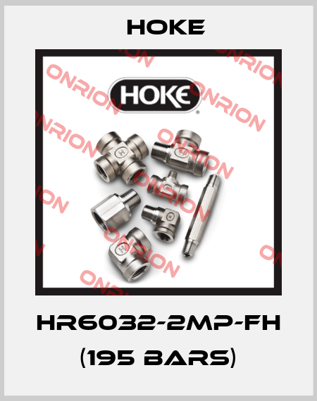 HR6032-2MP-FH (195 bars) Hoke