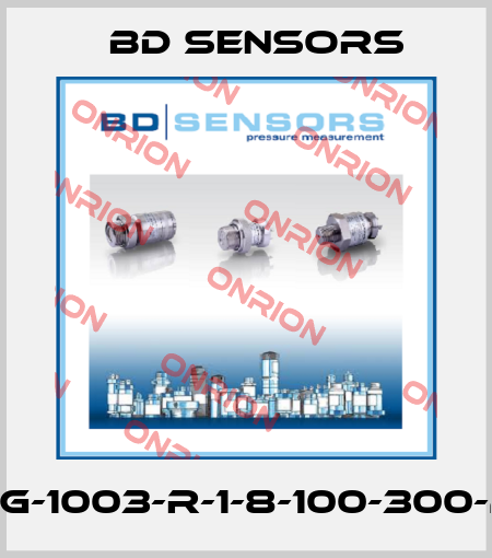 30.600G-1003-R-1-8-100-300-2-1-000 Bd Sensors