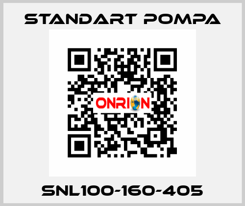 SNL100-160-405 STANDART POMPA
