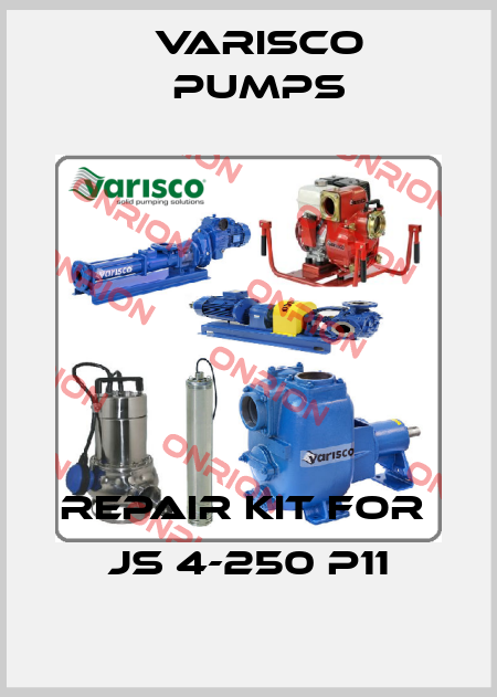 repair kit for  JS 4-250 P11 Varisco pumps