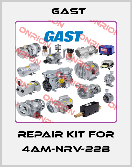 Repair kit for 4AM-NRV-22B Gast