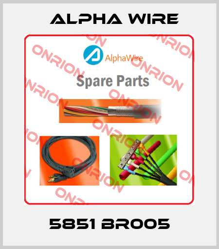 5851 BR005 Alpha Wire