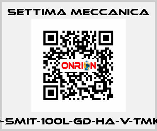 GR40-SMIT-100L-GD-HA-V-TMK-CSM Settima Meccanica