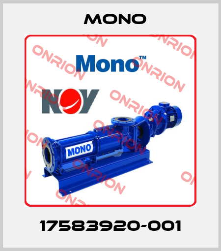 17583920-001 Mono