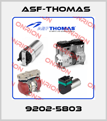 9202-5803 ASF-Thomas