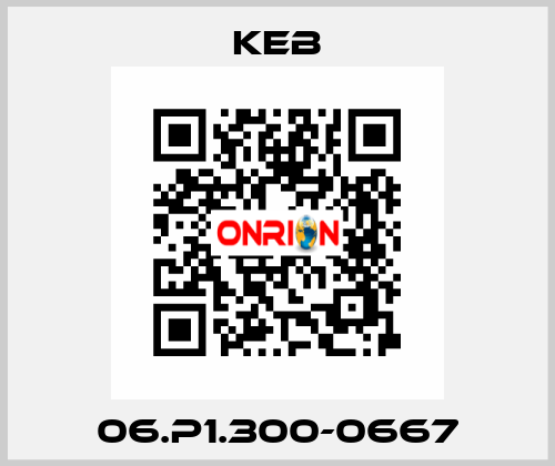 06.P1.300-0667 KEB