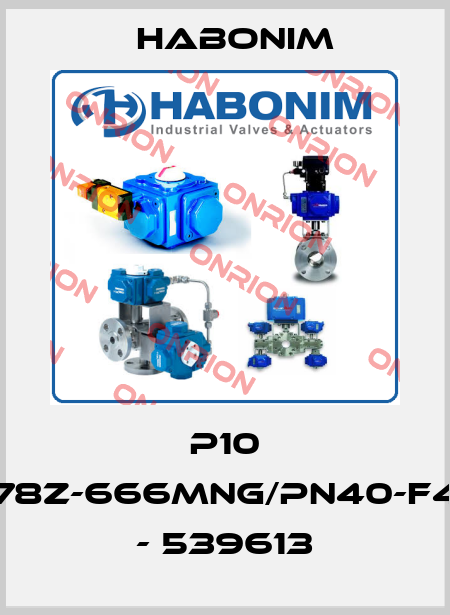 P10 78Z-666MNG/PN40-F4 - 539613 Habonim