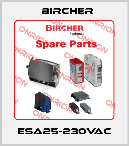 ESA25-230VAC Bircher
