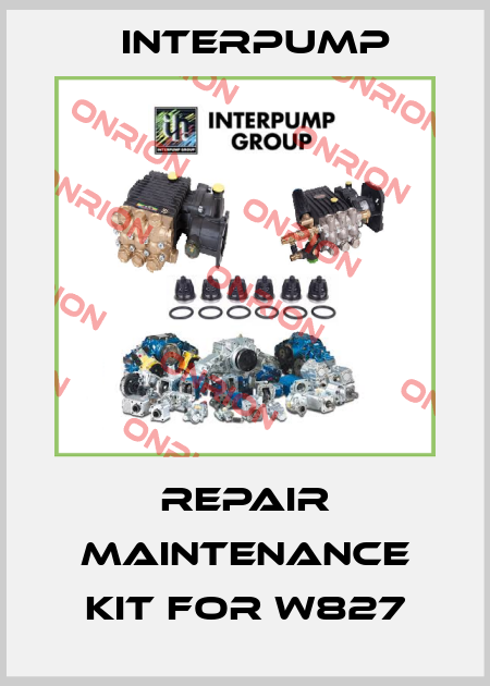 repair maintenance kit for W827 Interpump