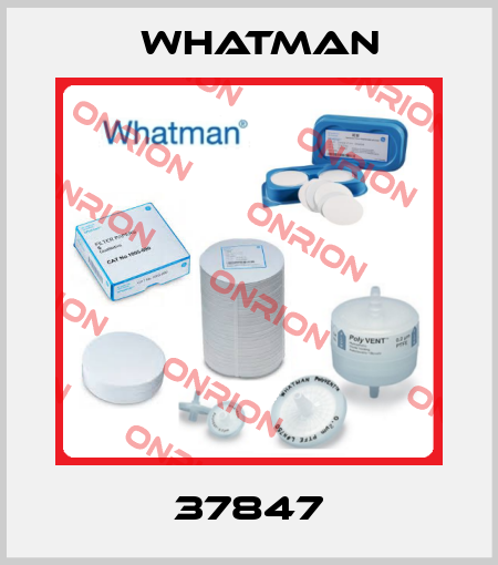 37847 Whatman