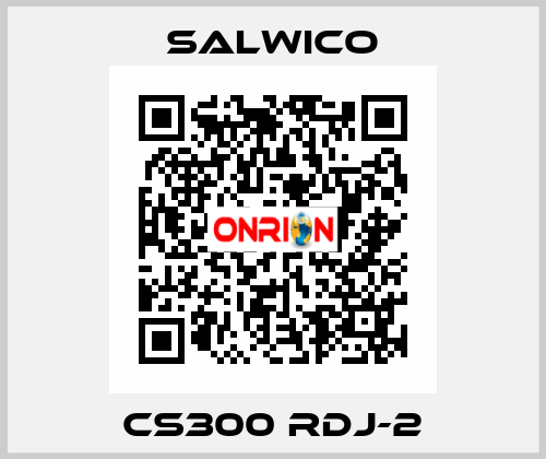 CS300 RDJ-2 Salwico