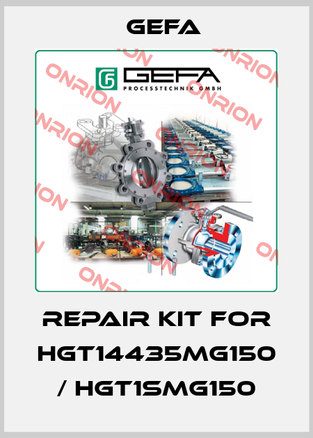 repair kit for HGT14435MG150 / HGT1SMG150 Gefa