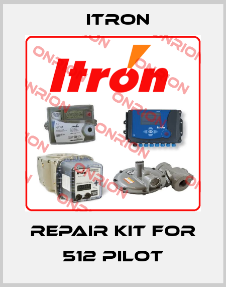 Repair kit for 512 pilot Itron
