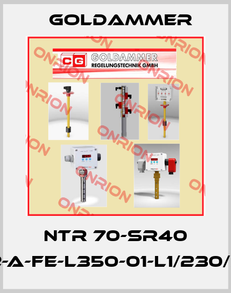 NTR 70-SR40 K2-A-FE-L350-01-L1/230/S-I Goldammer